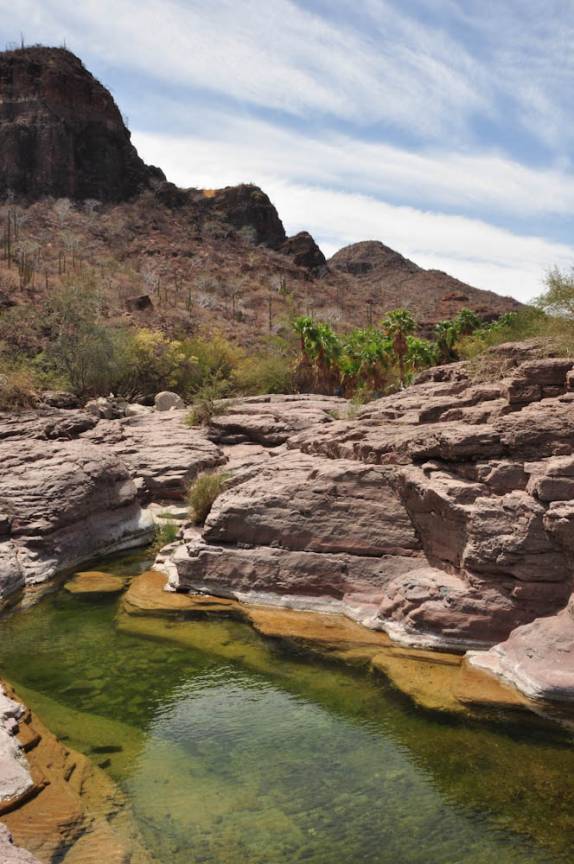 Riacho forma pequeno oásis no deserto entre Loreto e a missão San Francisco Xavier, na Baja California - México